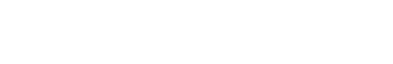 Partner 1